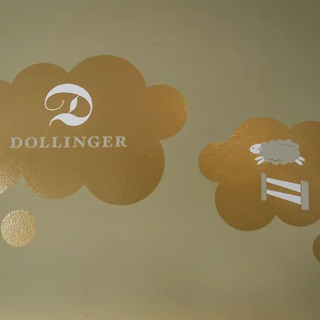 Dollinger 3* İnnsbruck