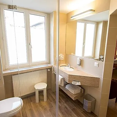 Otel Dollinger 3*