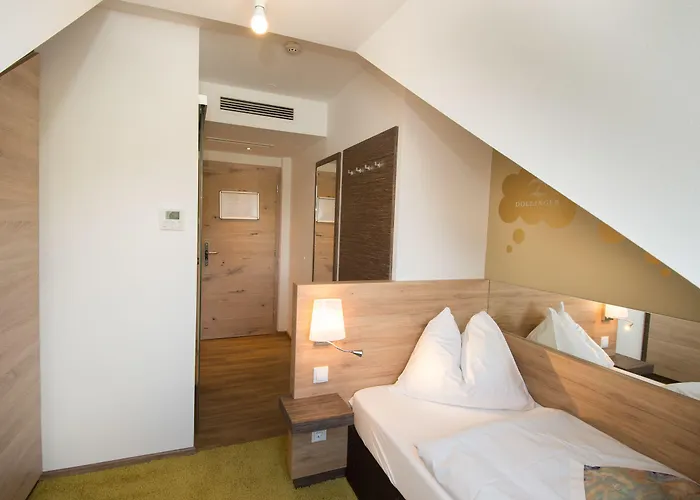 酒店 多林格酒店 3*