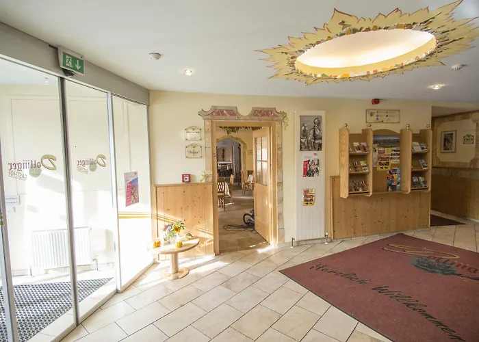 酒店 多林格酒店 因斯布鲁克