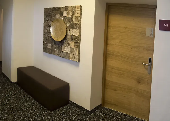 多林格酒店 酒店 3*