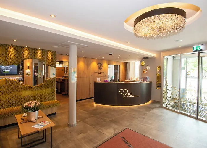 酒店 多林格酒店 3*