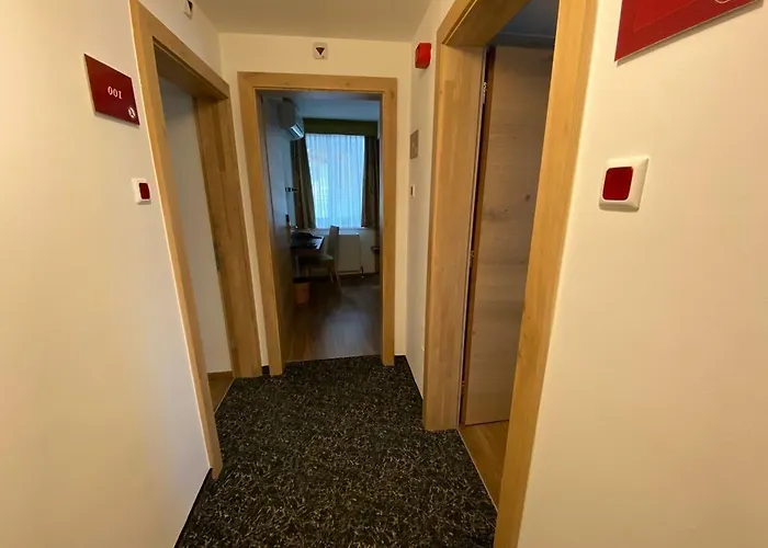 酒店 多林格酒店 3*