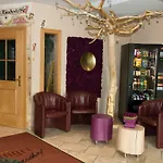 Hotel Dollinger