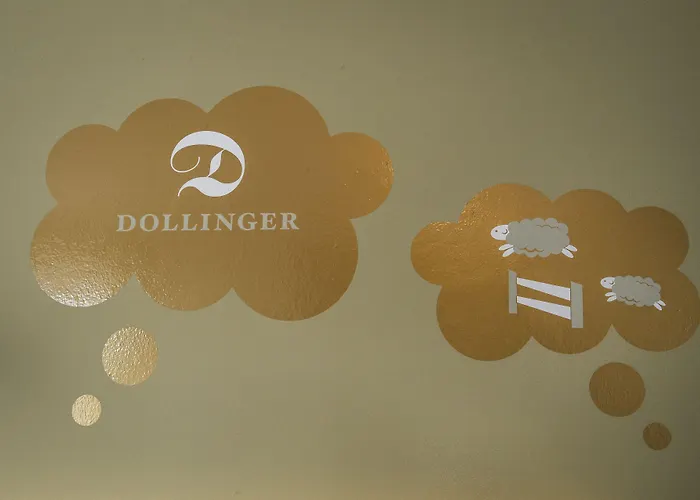 Dollinger 3* Инсбрук